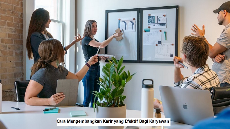 Cara Mengembangkan Karir